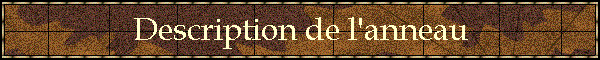 Description de l'anneau