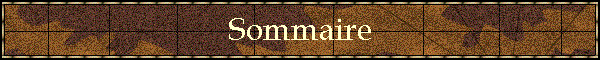 Sommaire