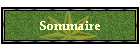 Sommaire