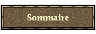 Sommaire